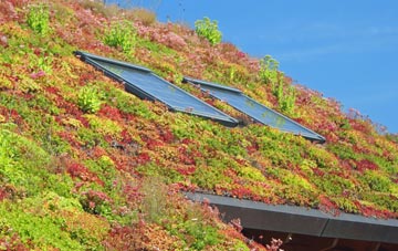 Wigtown living roof systems