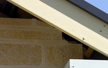 soffit repair Wigtown